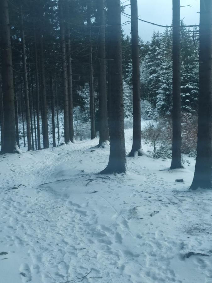 Penzion Bazalka Jablonec nad Nisou Buitenkant foto